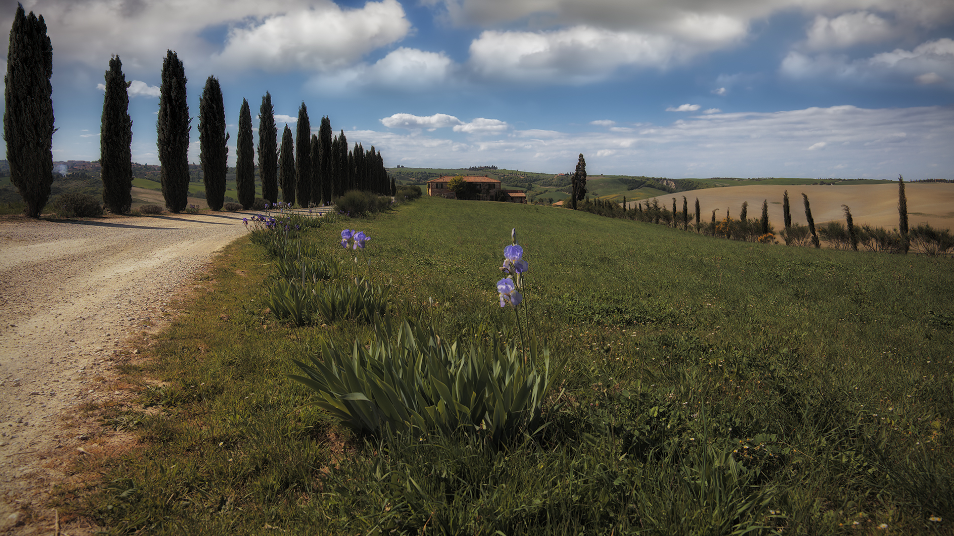 Val D'Orcia13