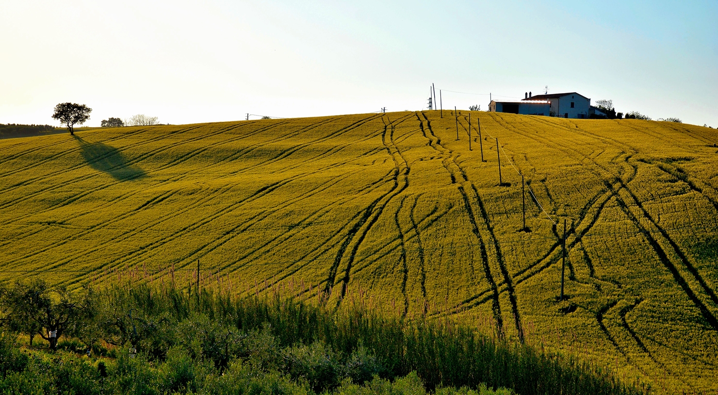 All Roads Bring to ... House