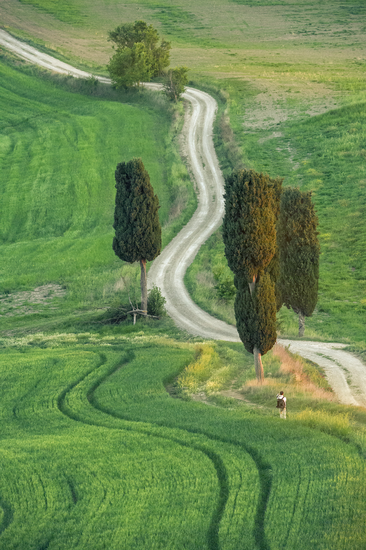 il Panizza sul campo