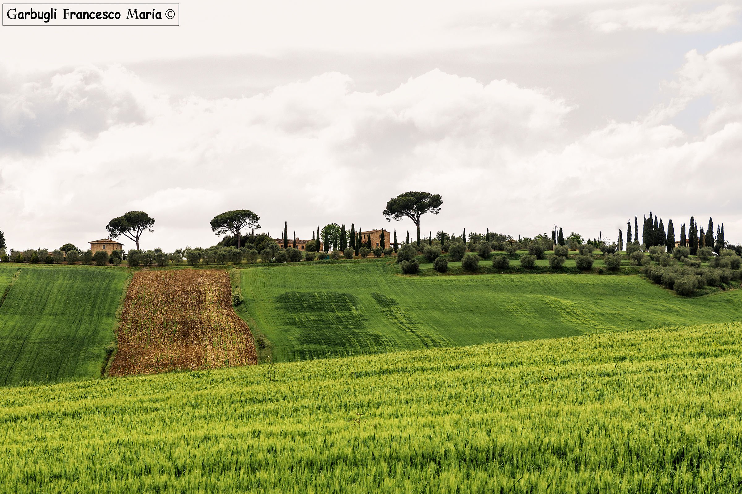 But it is a garden and the Val di Chiana ???