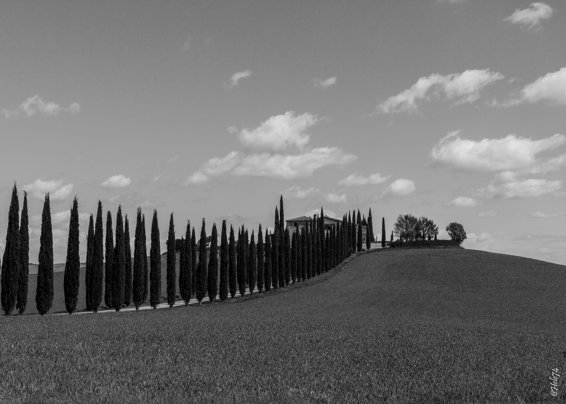 Val D'Orcia vision in b / n