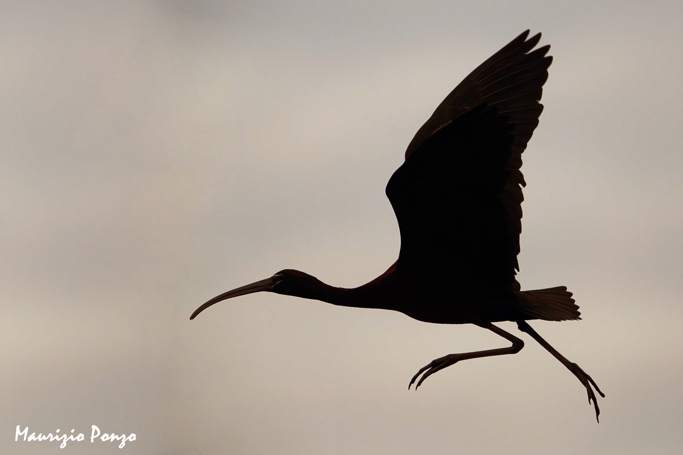 The class is not water