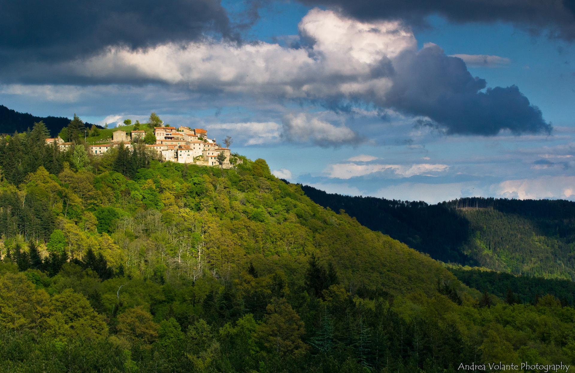 All'improvviso ..un raggio di Sole!!