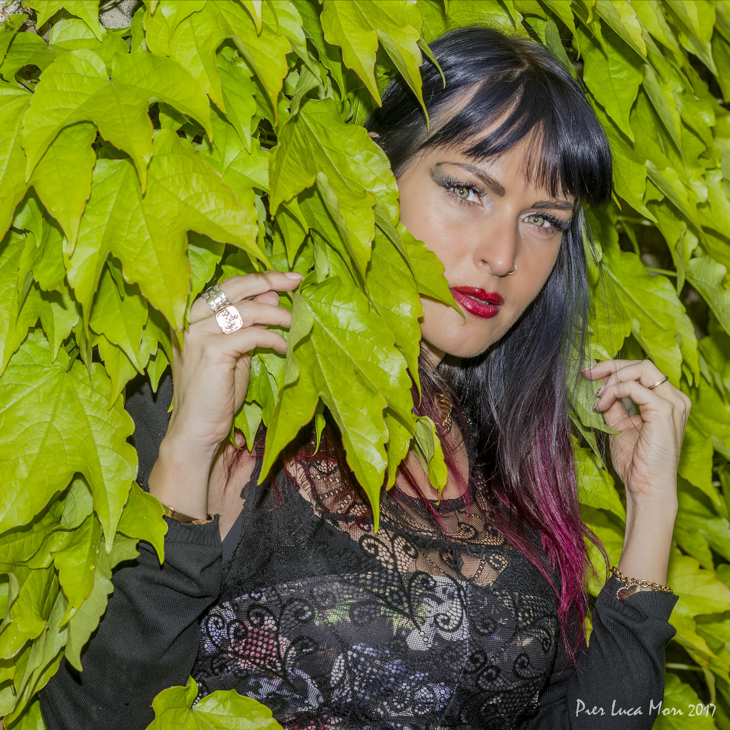 Among the fresh boughs