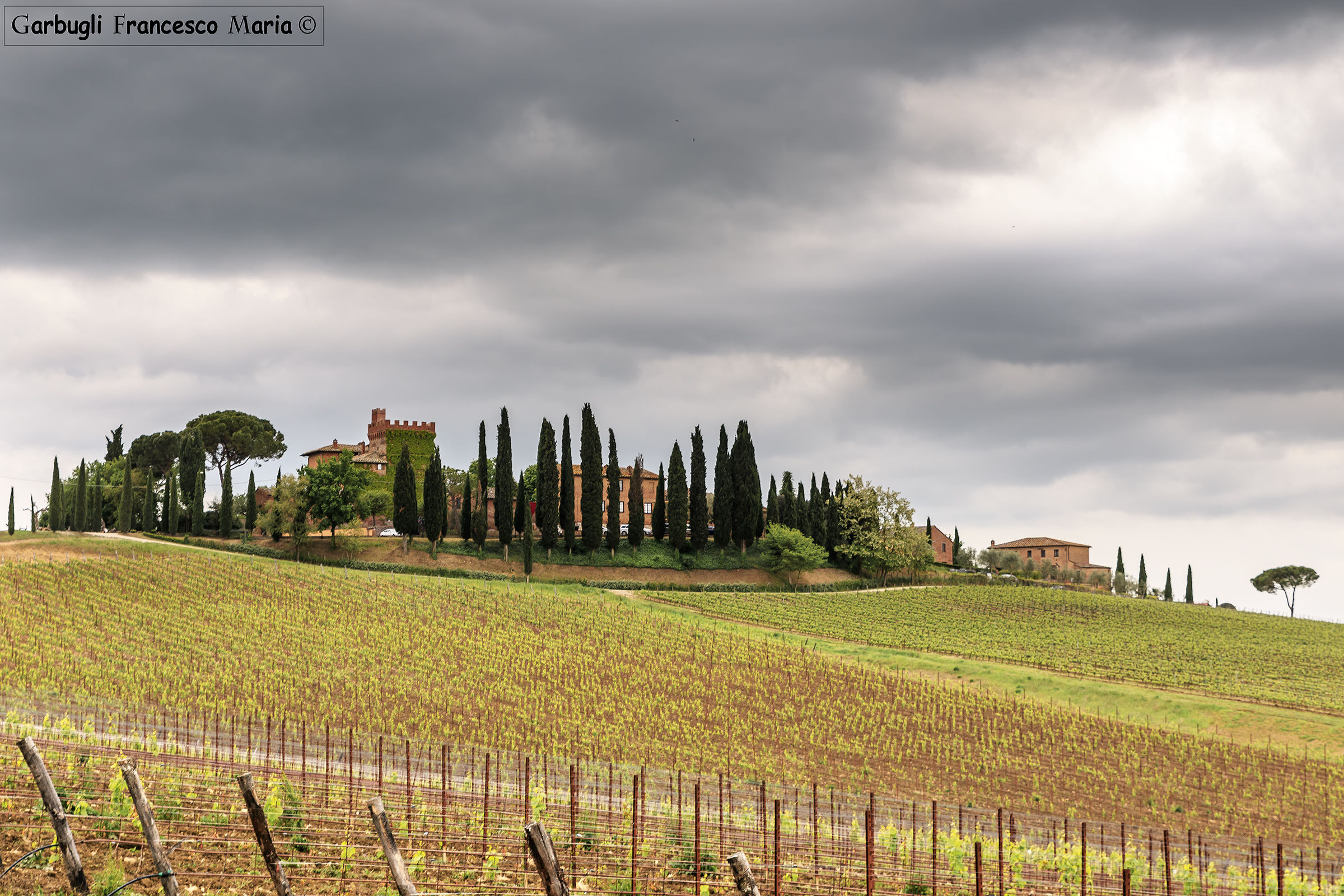 Where does good wine!