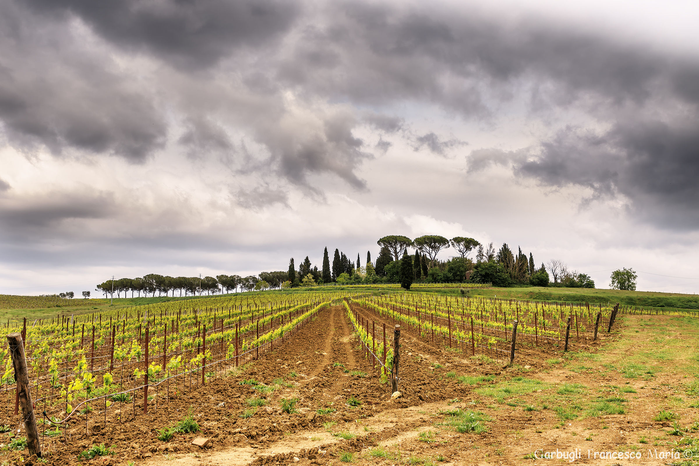 Heaven mackerel .... wine in buckets !!!!