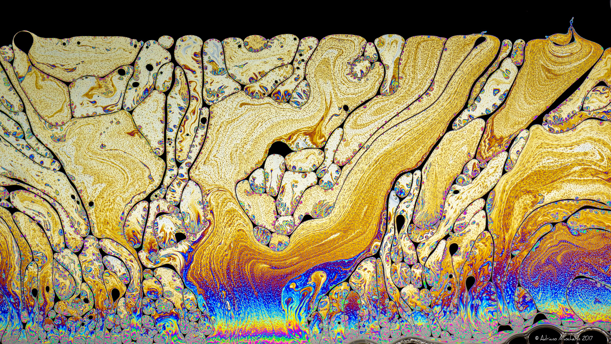 Endless Fantasy ....