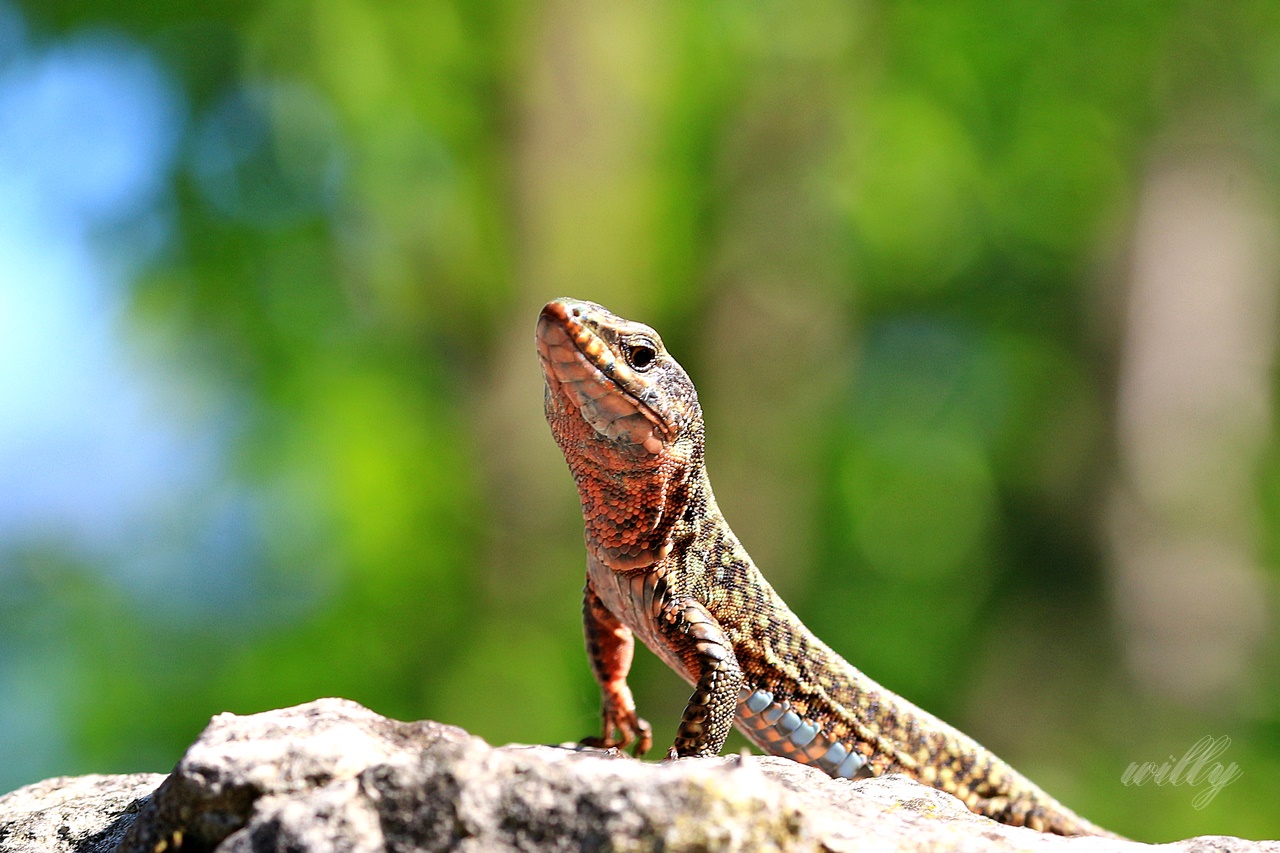 su fatti avanti.....