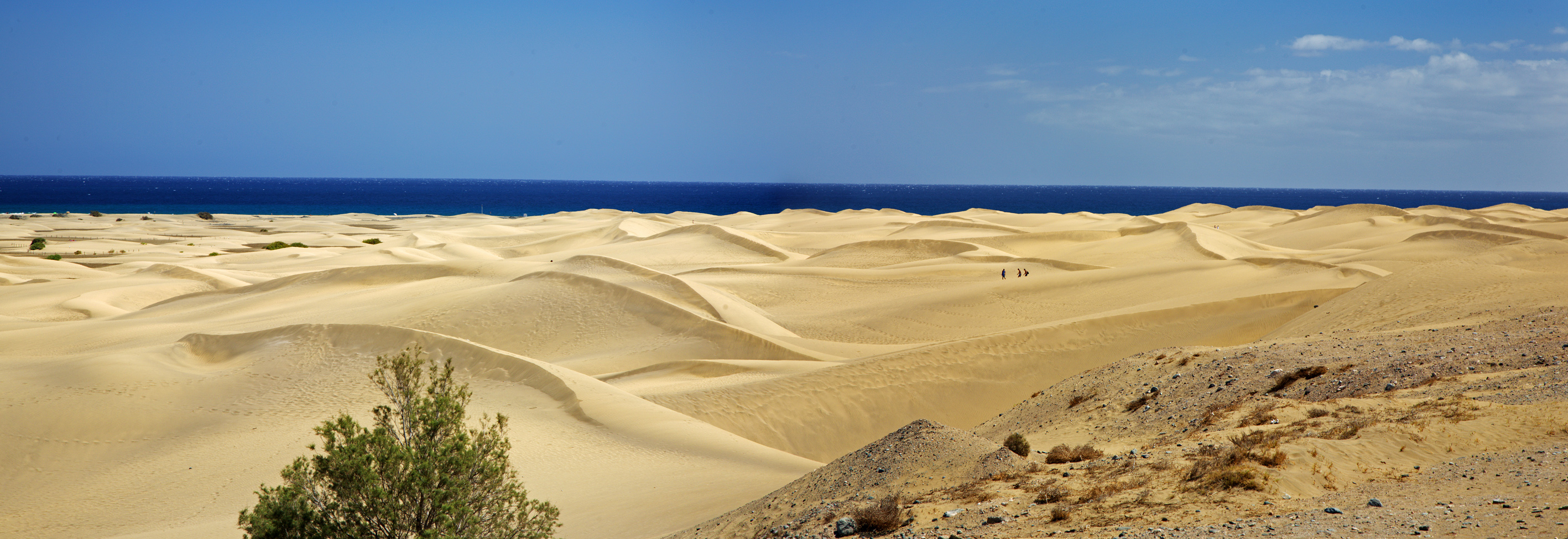 Dune di Maspalomas