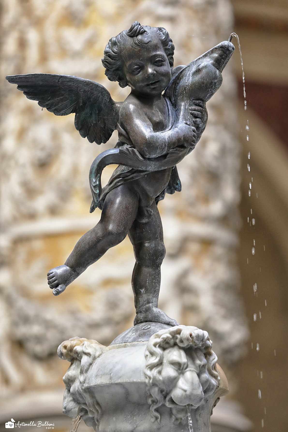 Putto with Dolphin