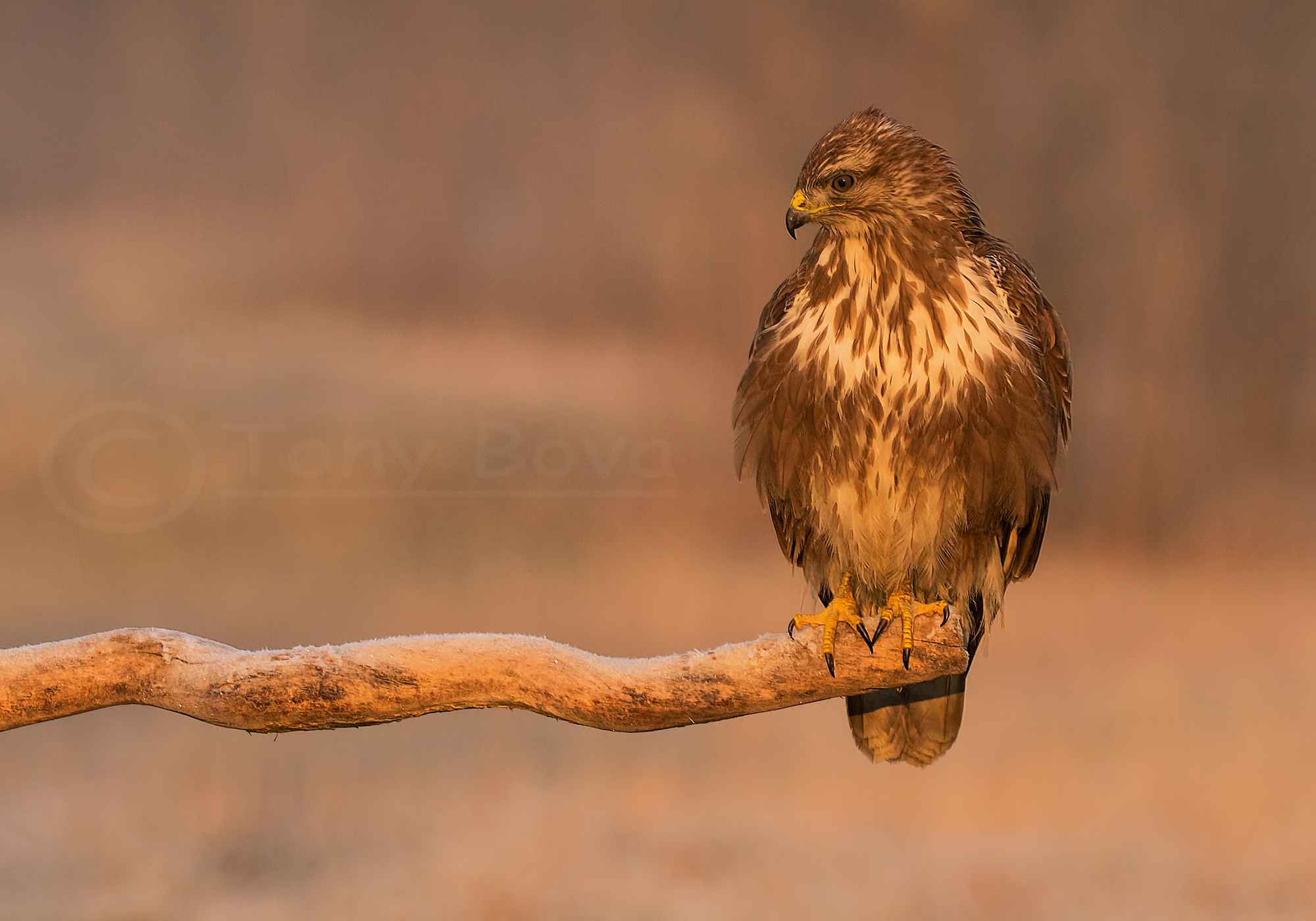 A cold winter morning ...