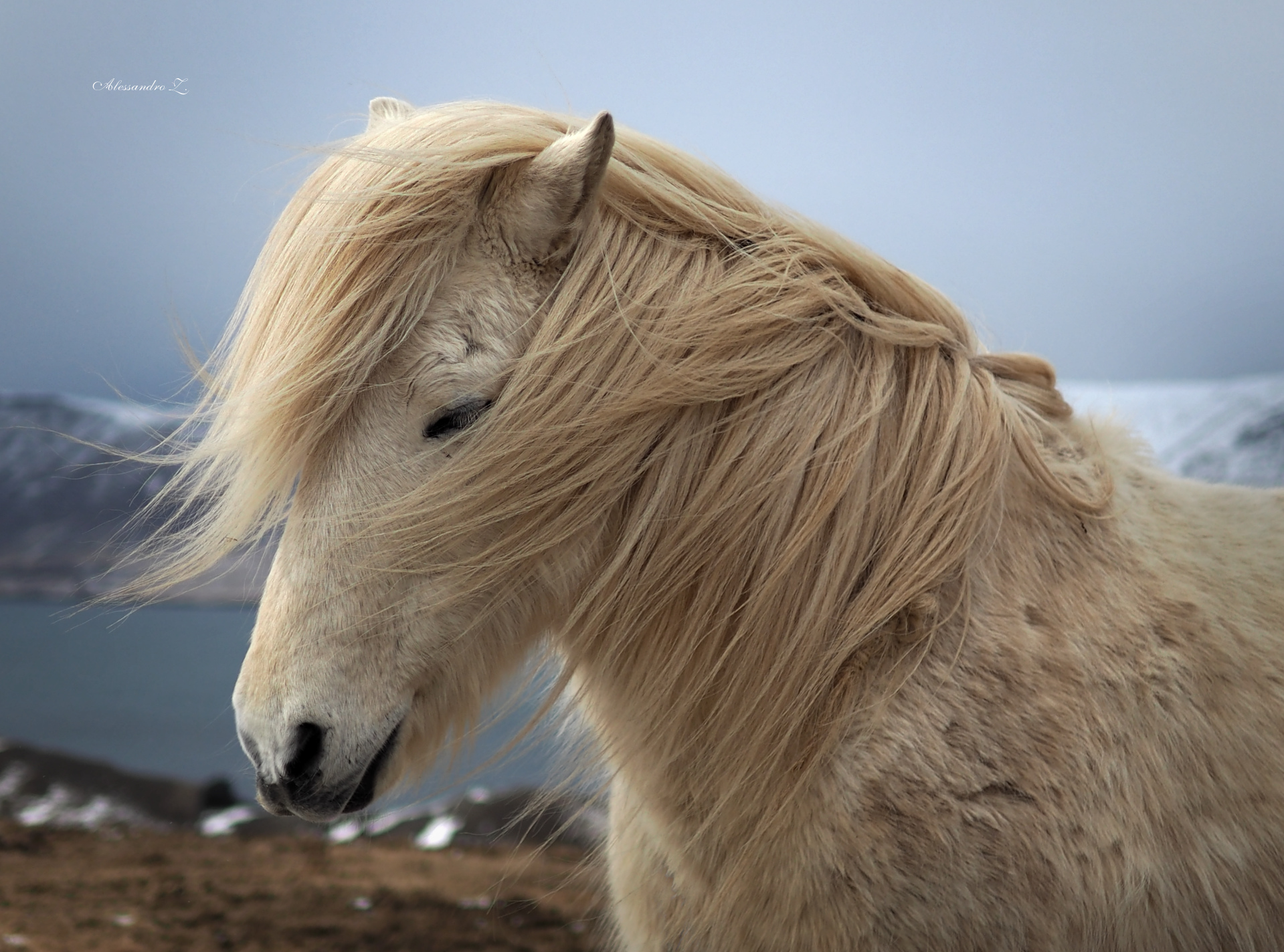 Today I feel a little rock