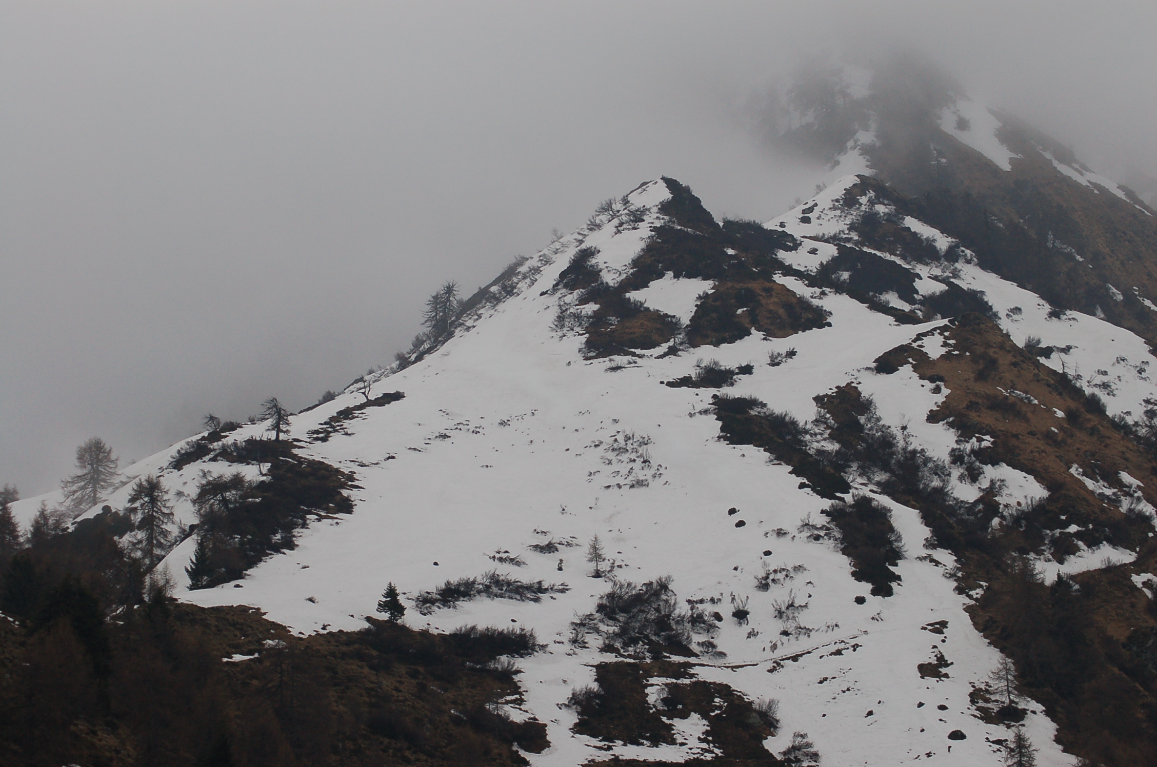 La primavera tarda ad arrivare...