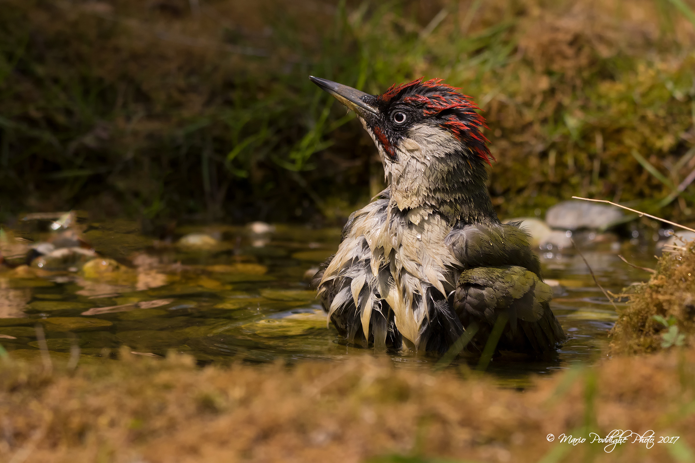 freshening up we wanted!