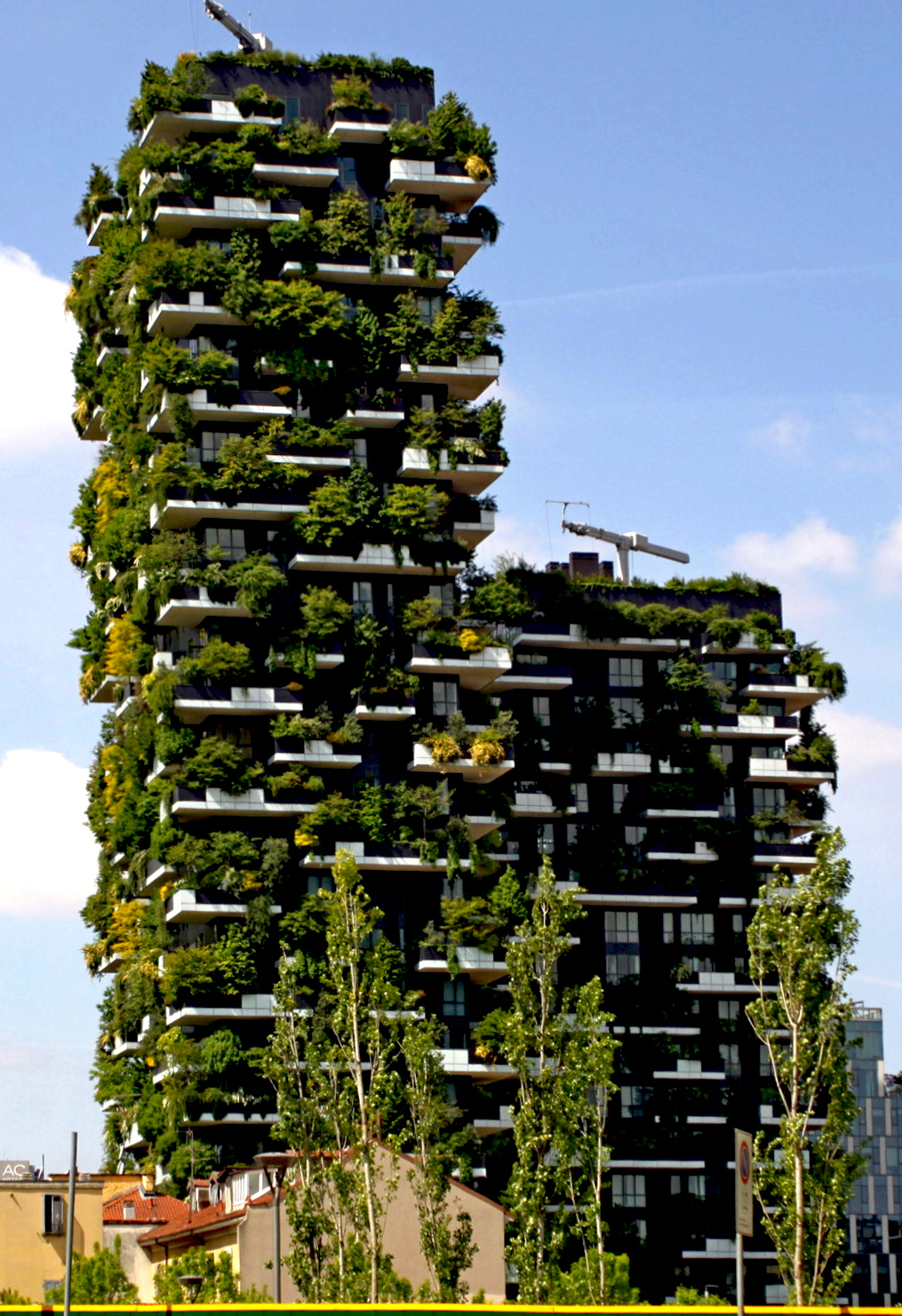 vertical forest