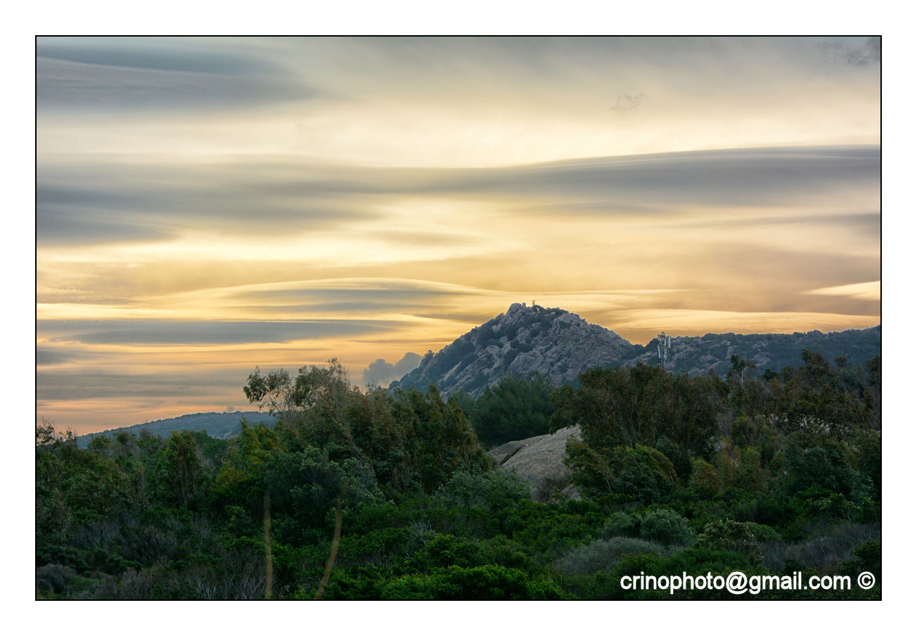 ...Amazzonia?...no.....Ichnusa (Sardegna)...