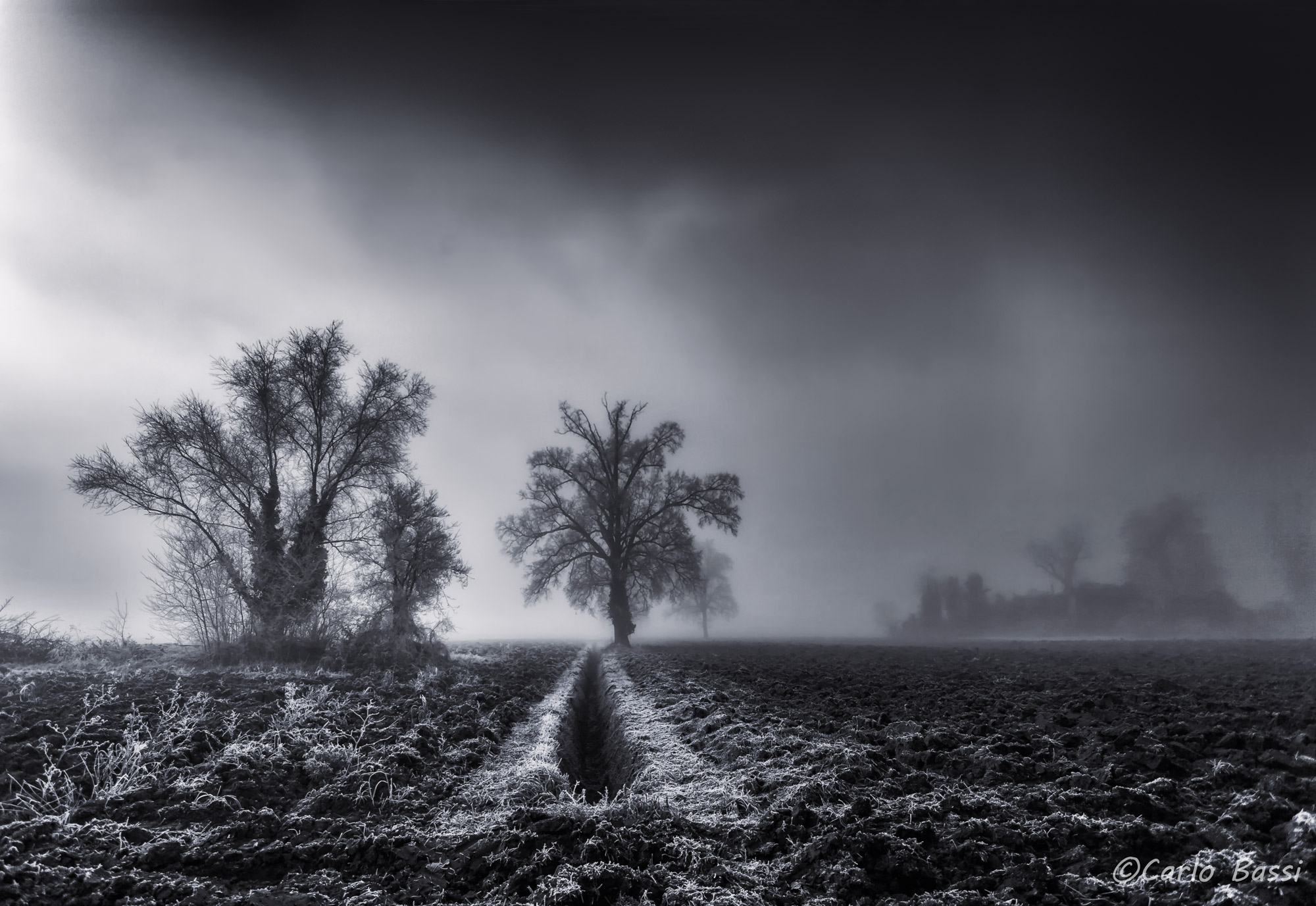 Avvolti dalla nebbia.