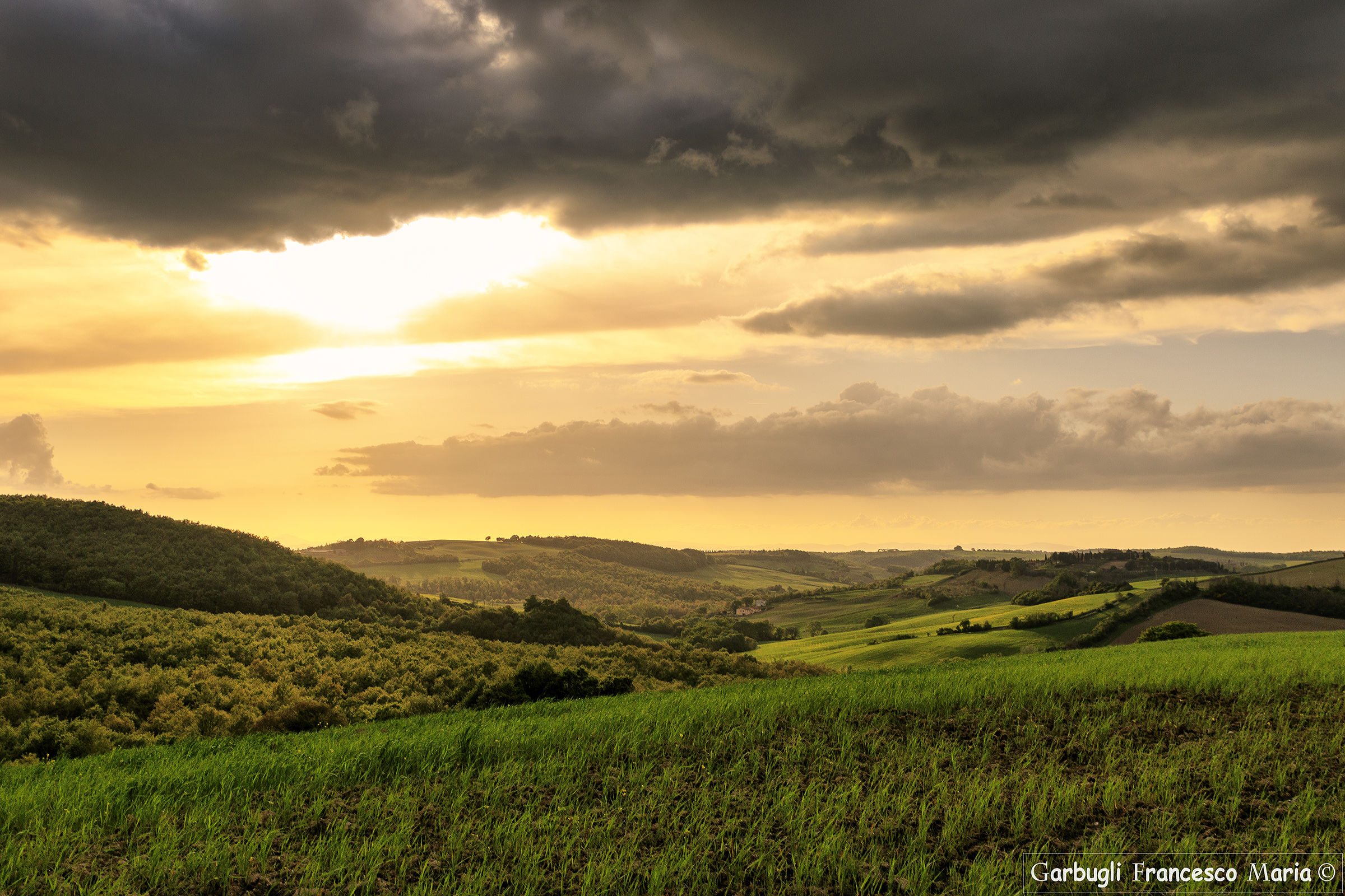The hills of Montepulciano
