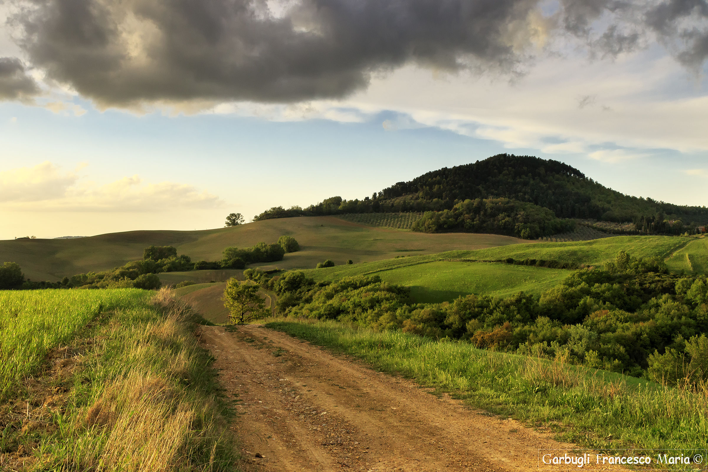 The road in the green