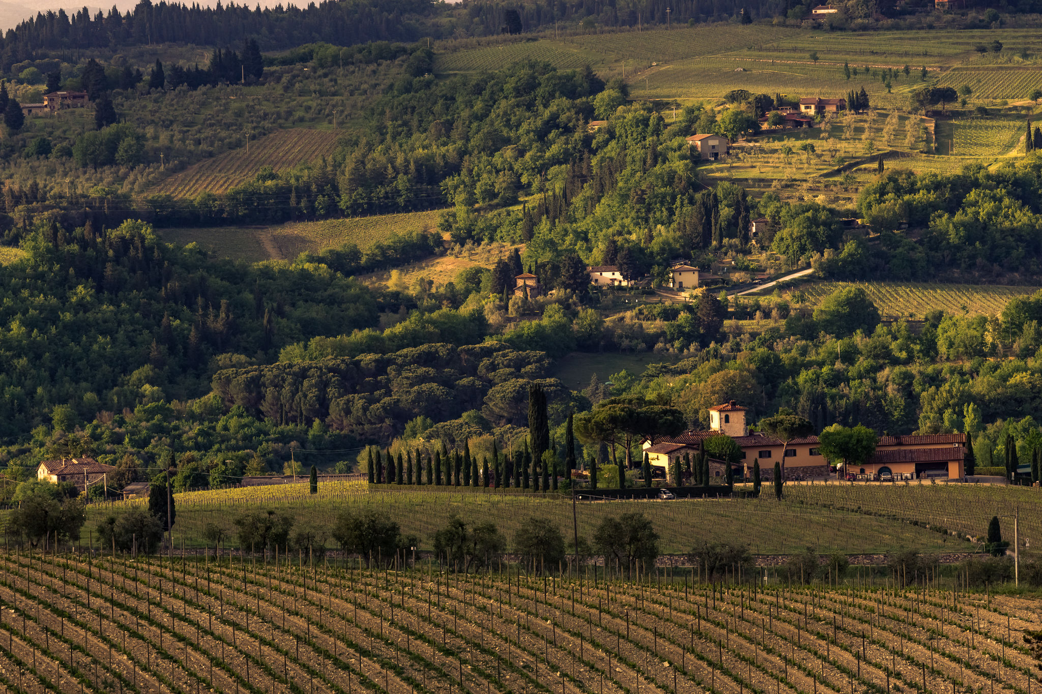 The hills surrounding Montefioralle