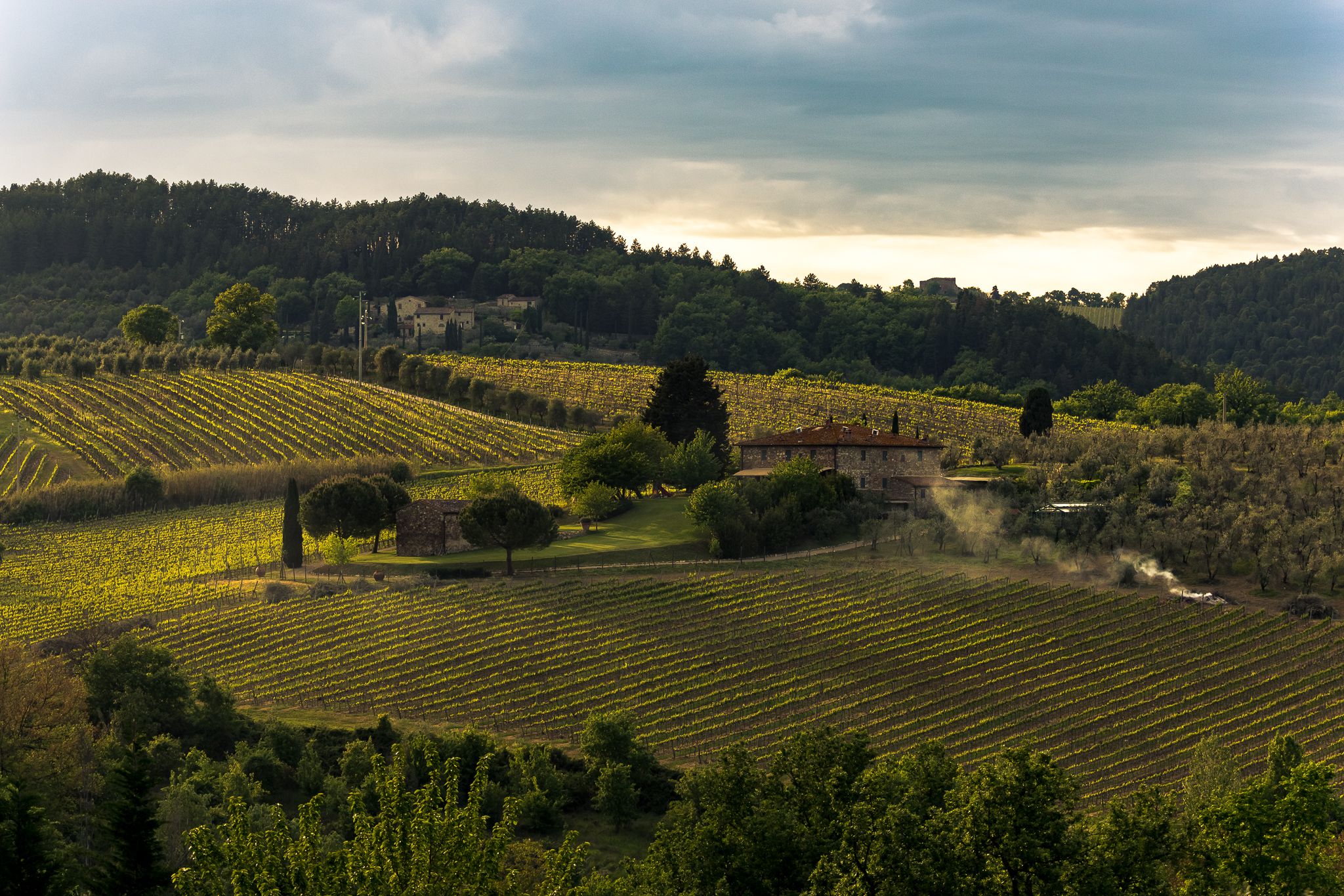 The hills surrounding Montefioralle