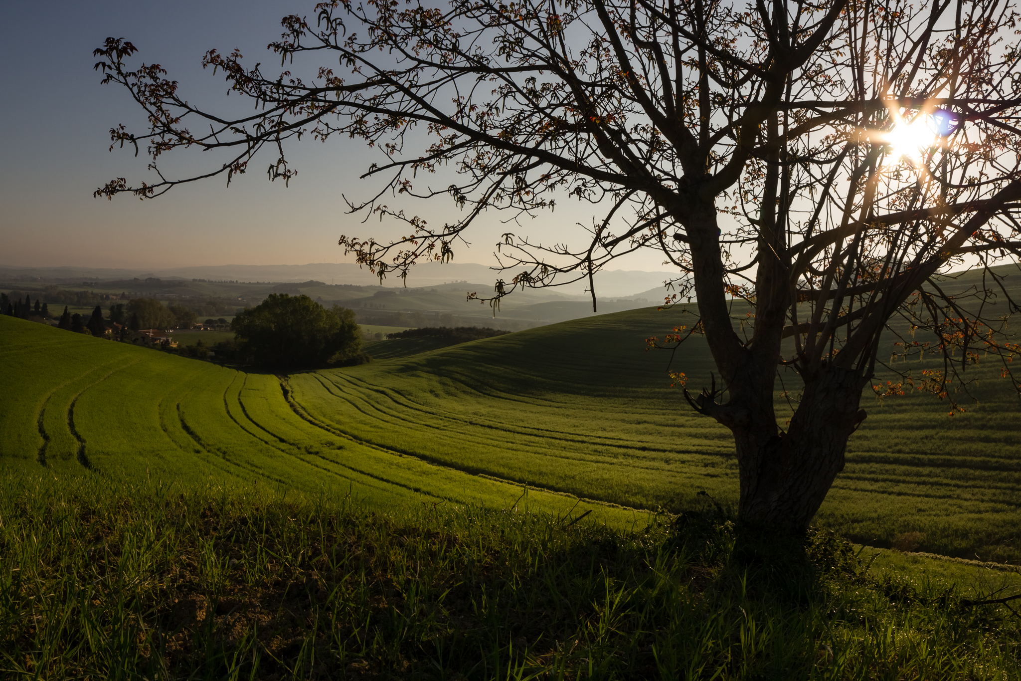 Un giro tra le colline Toscane