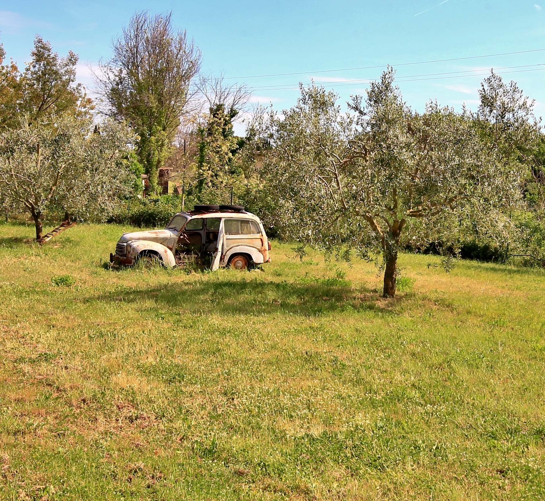 Modified by Albieri Sergio's Reporting