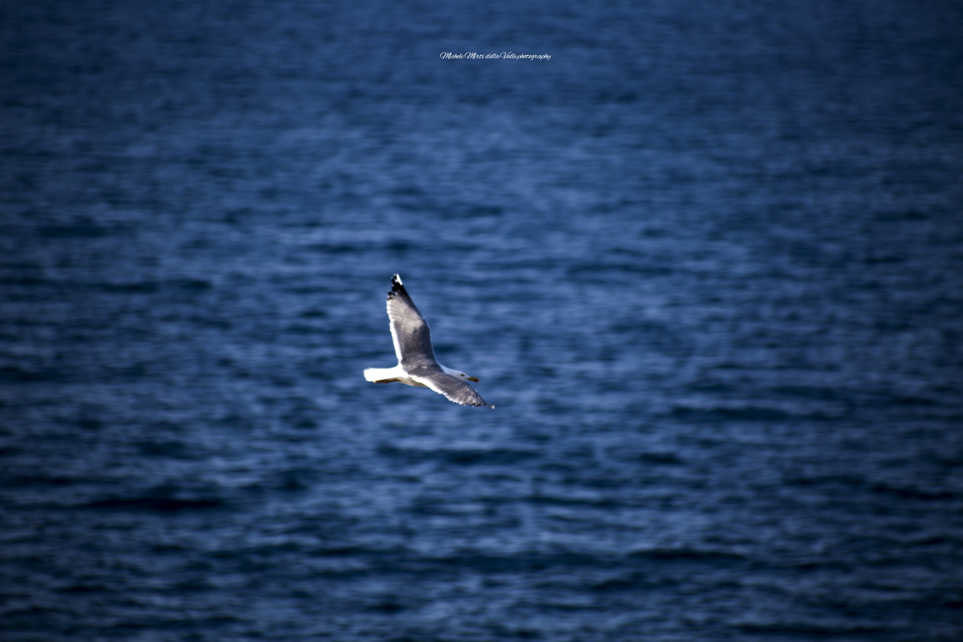 Nel blu dipinto di blu