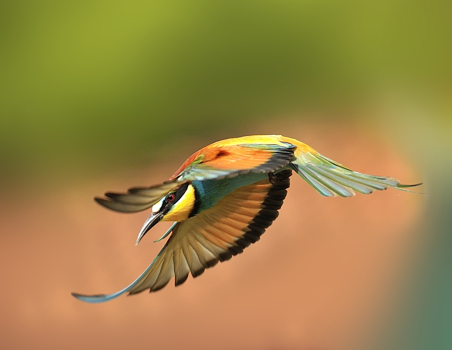 in flight