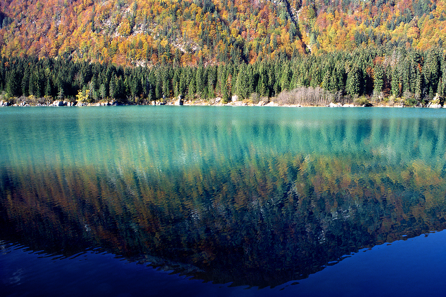 Reflexes - Upper Lake of Fusine