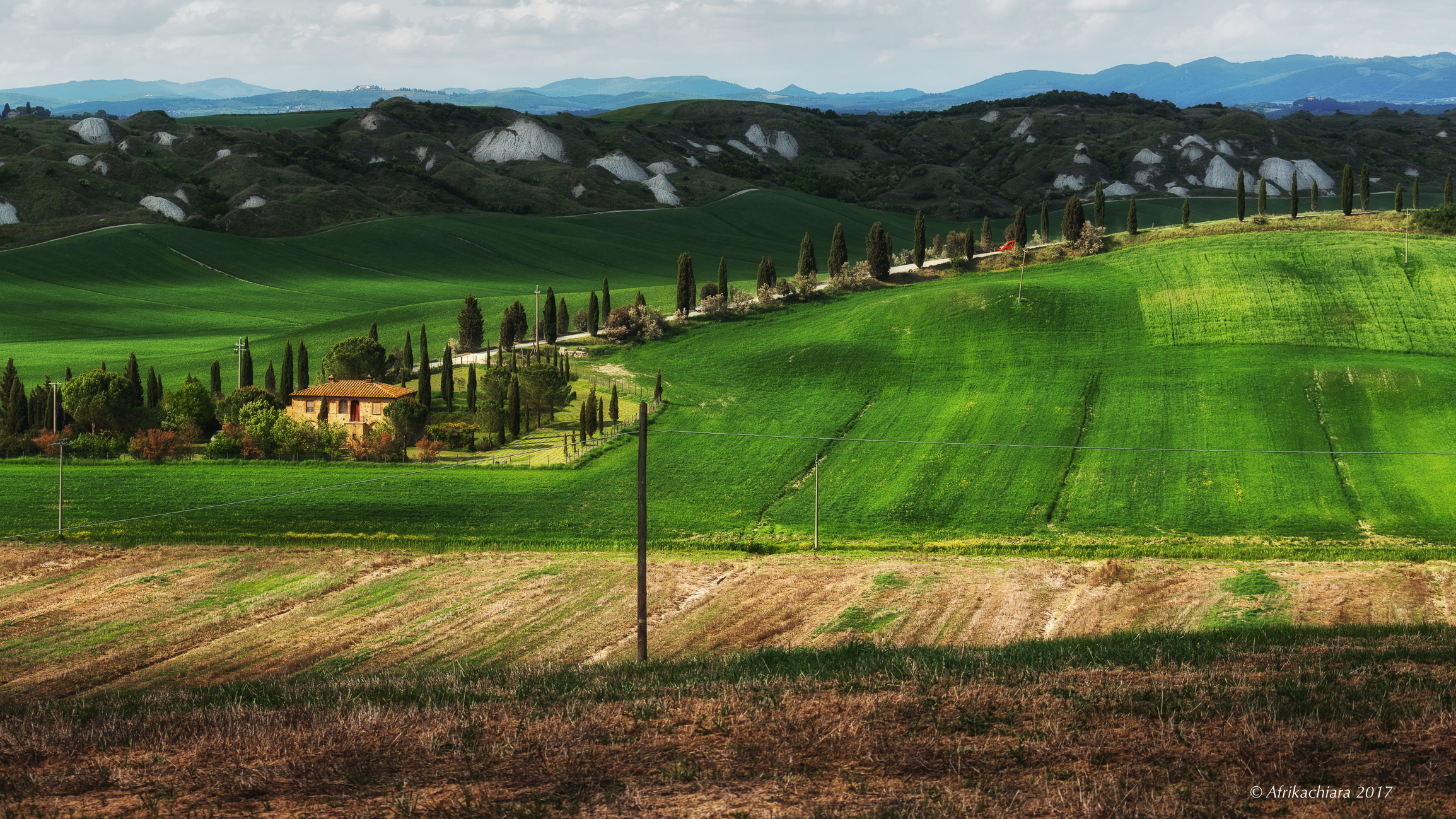 Sienese countryside