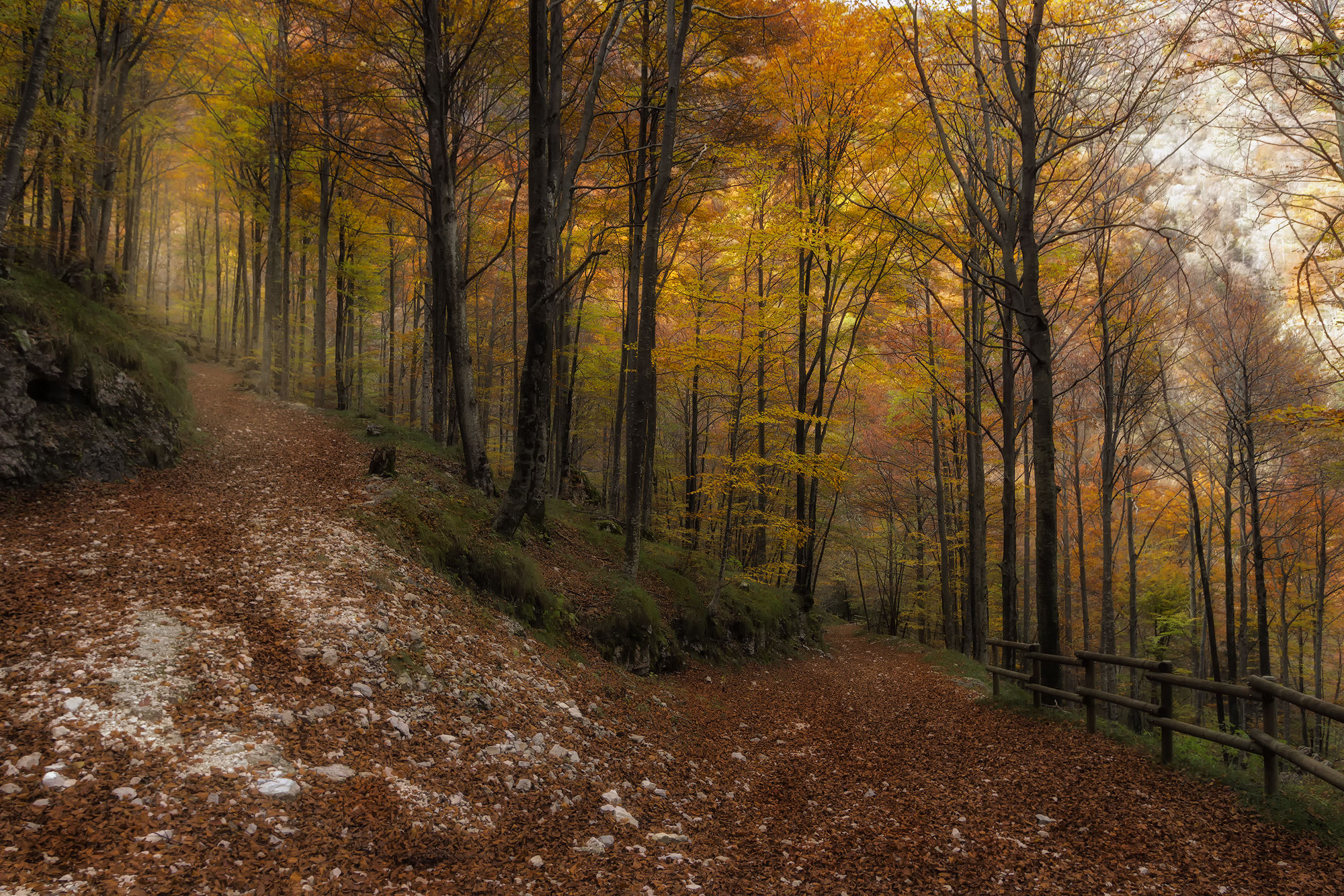 The colors of autumn