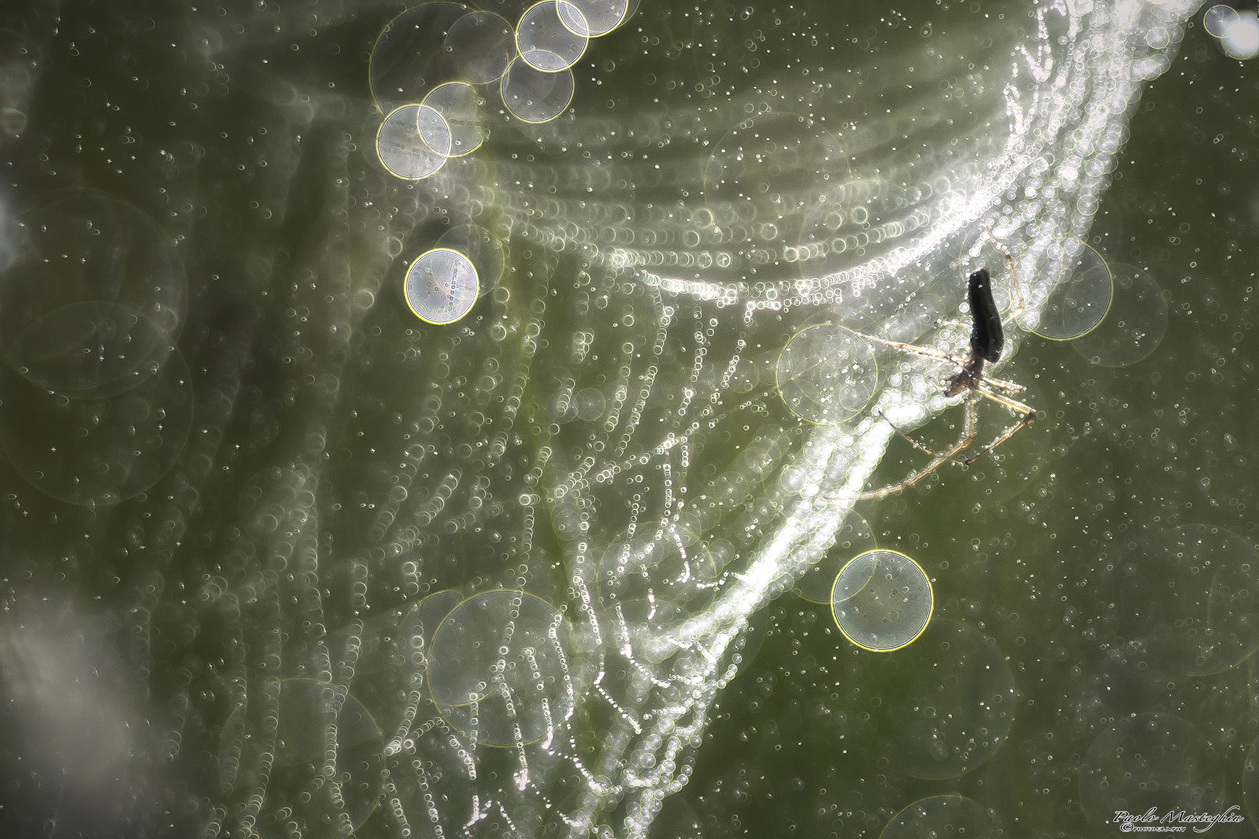Dancing in the rain ...