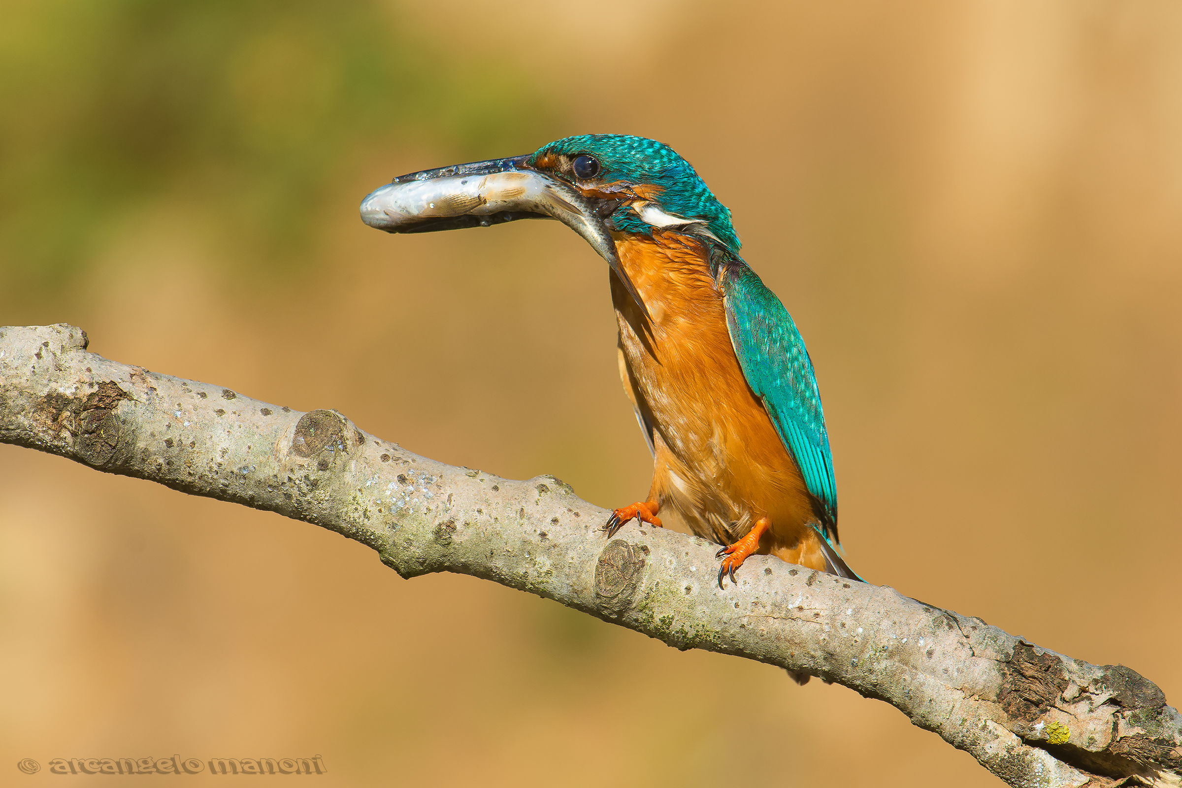 But when do you eat, do not use the napkin?