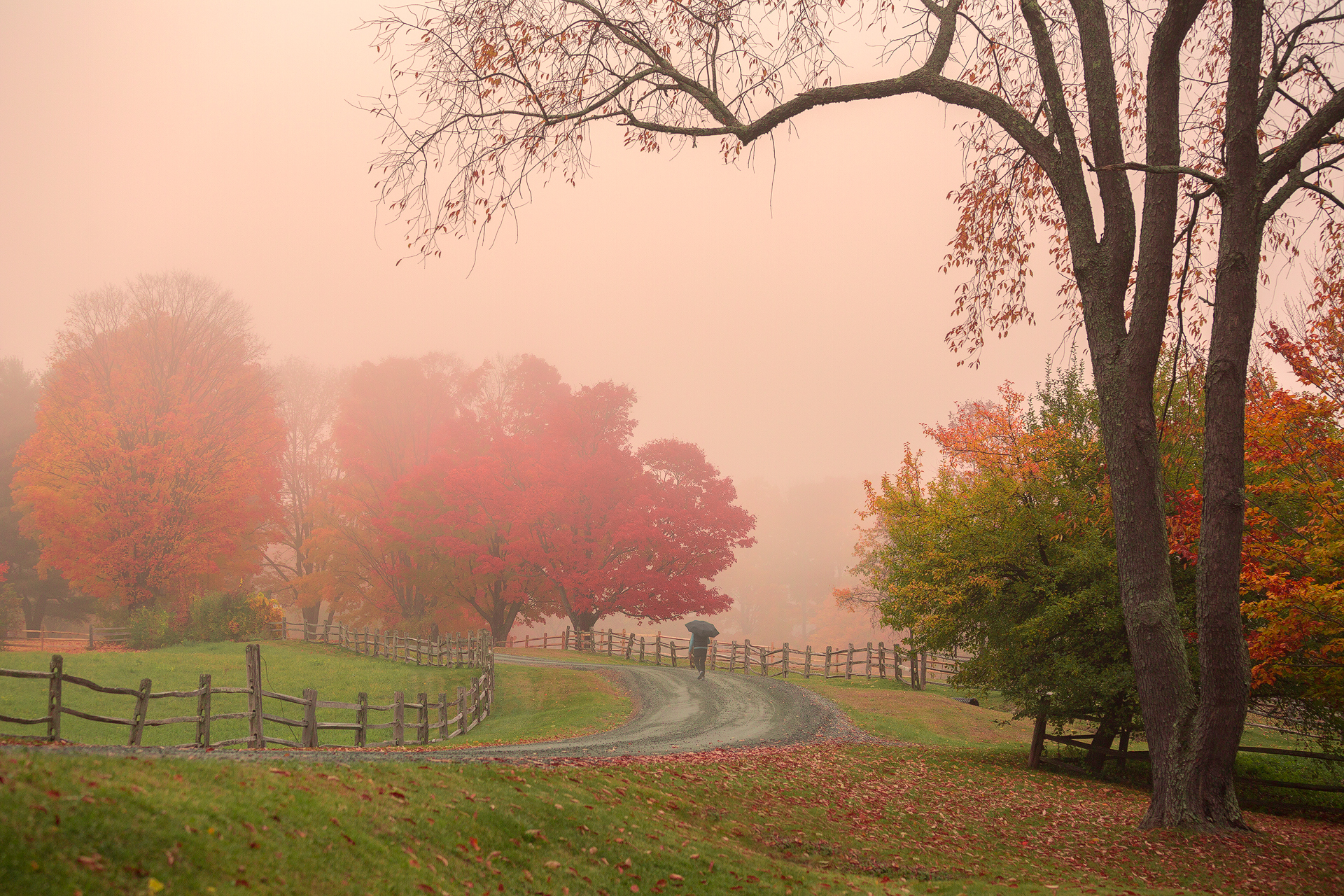 Foggy morning in Woodstock