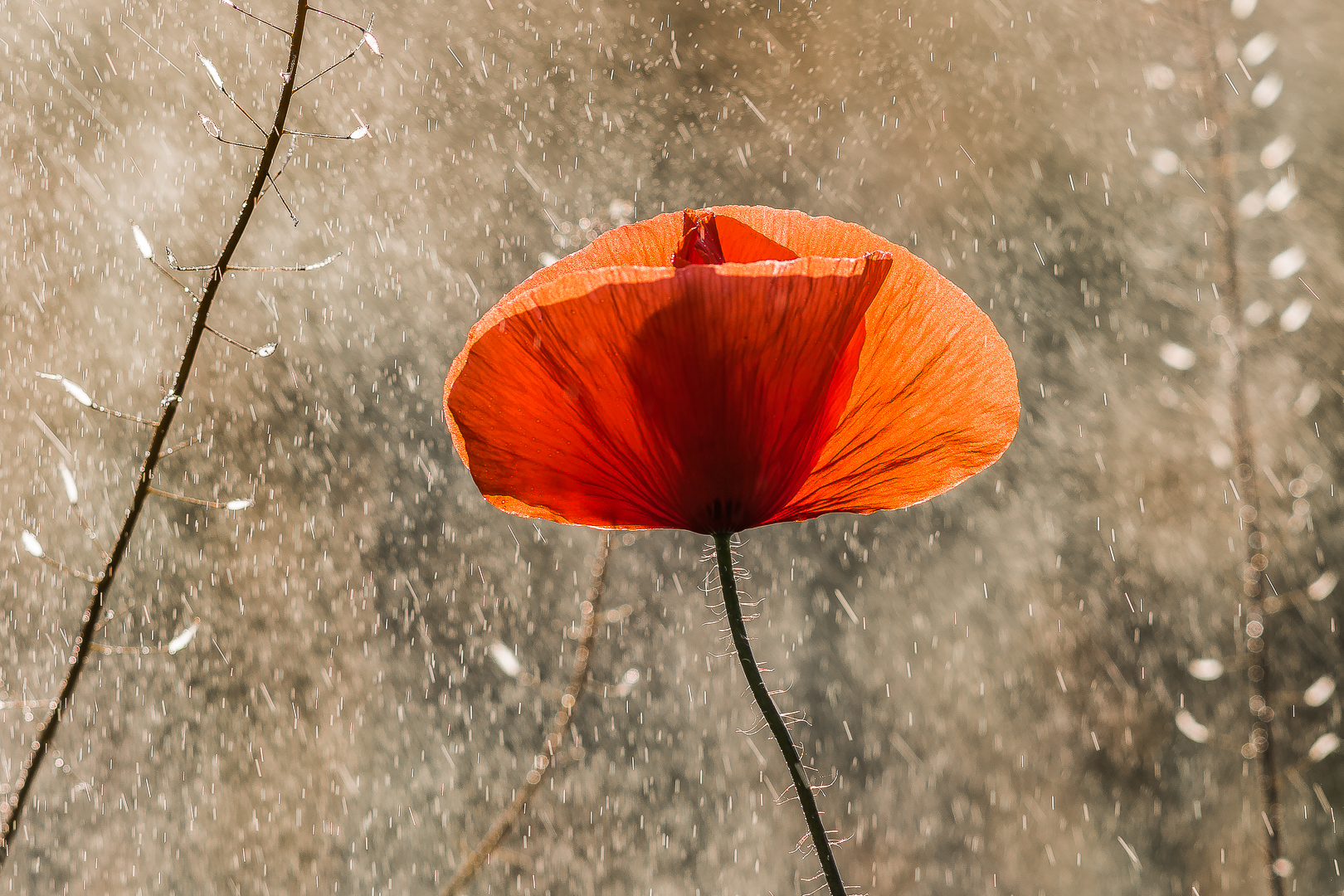 When light plays with water