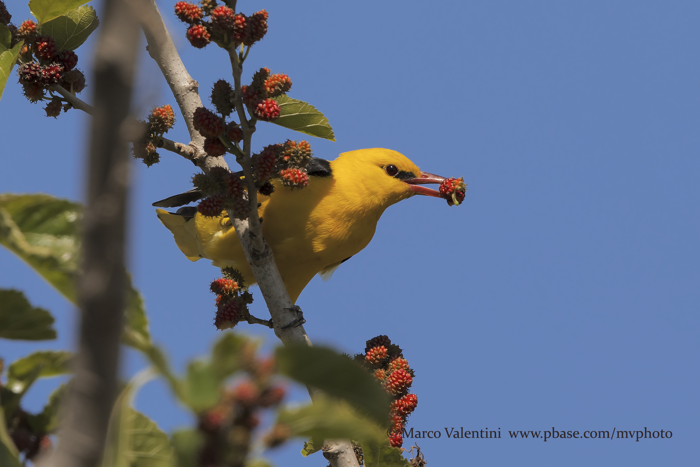 Blessed in the Sea - 2