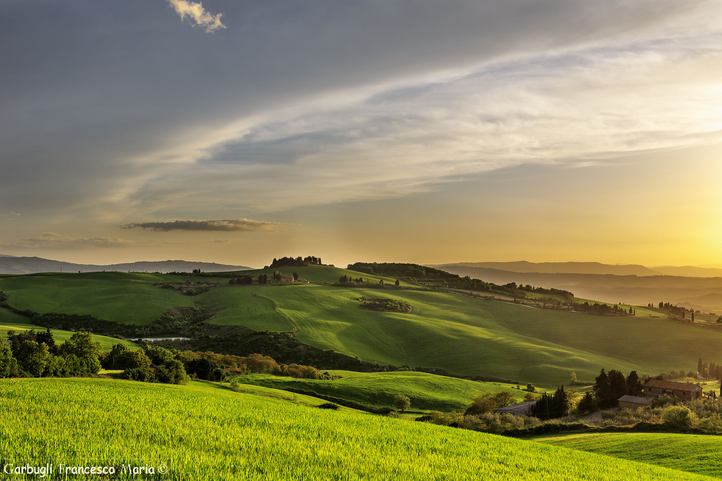 The green in Val d'Orcia