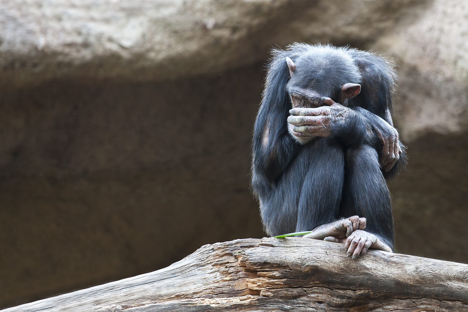 I do not see you but I feel you