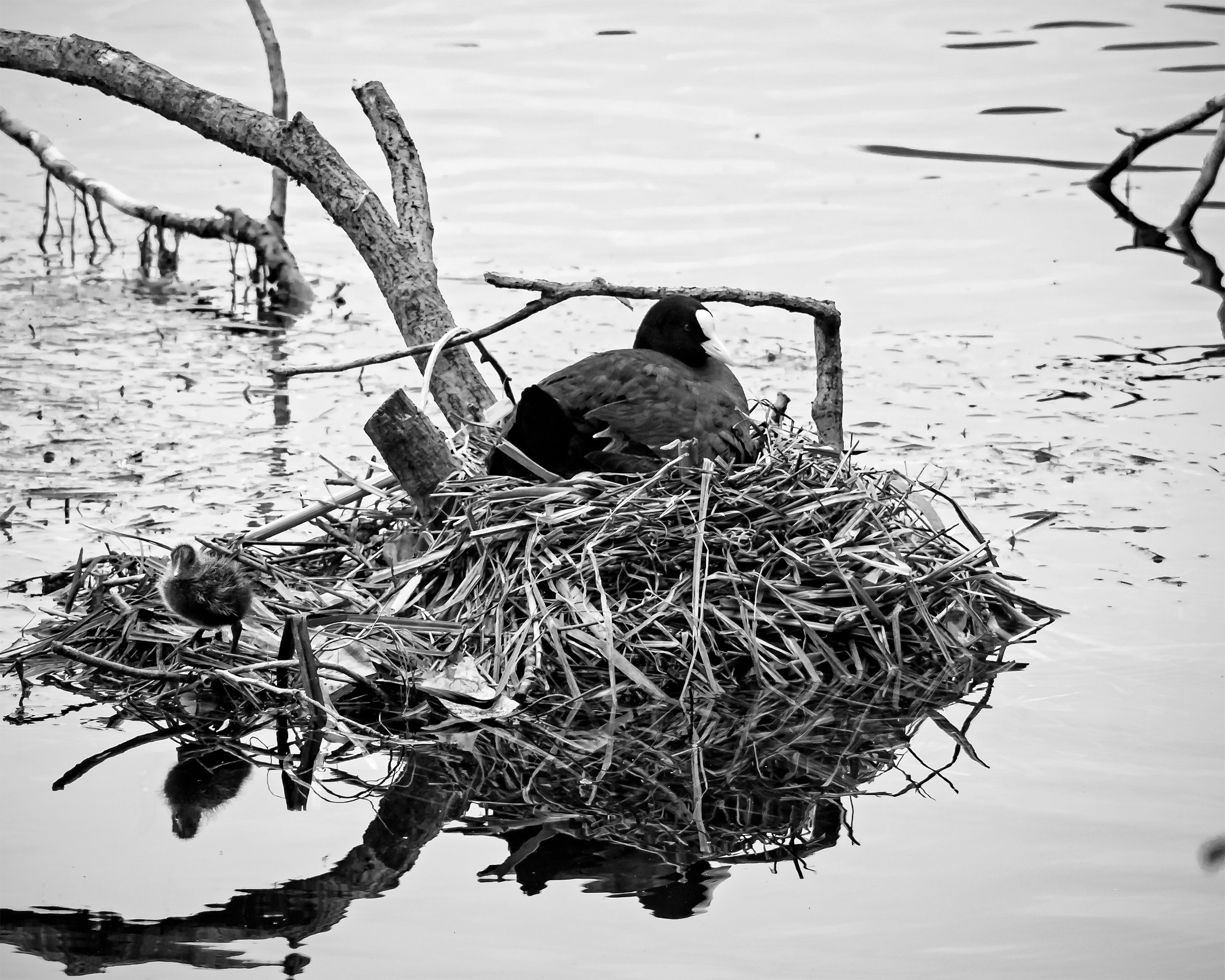 Back in there that photographer is out there!