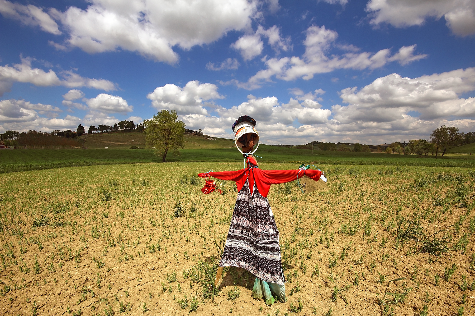 Paura...?? e de Che?