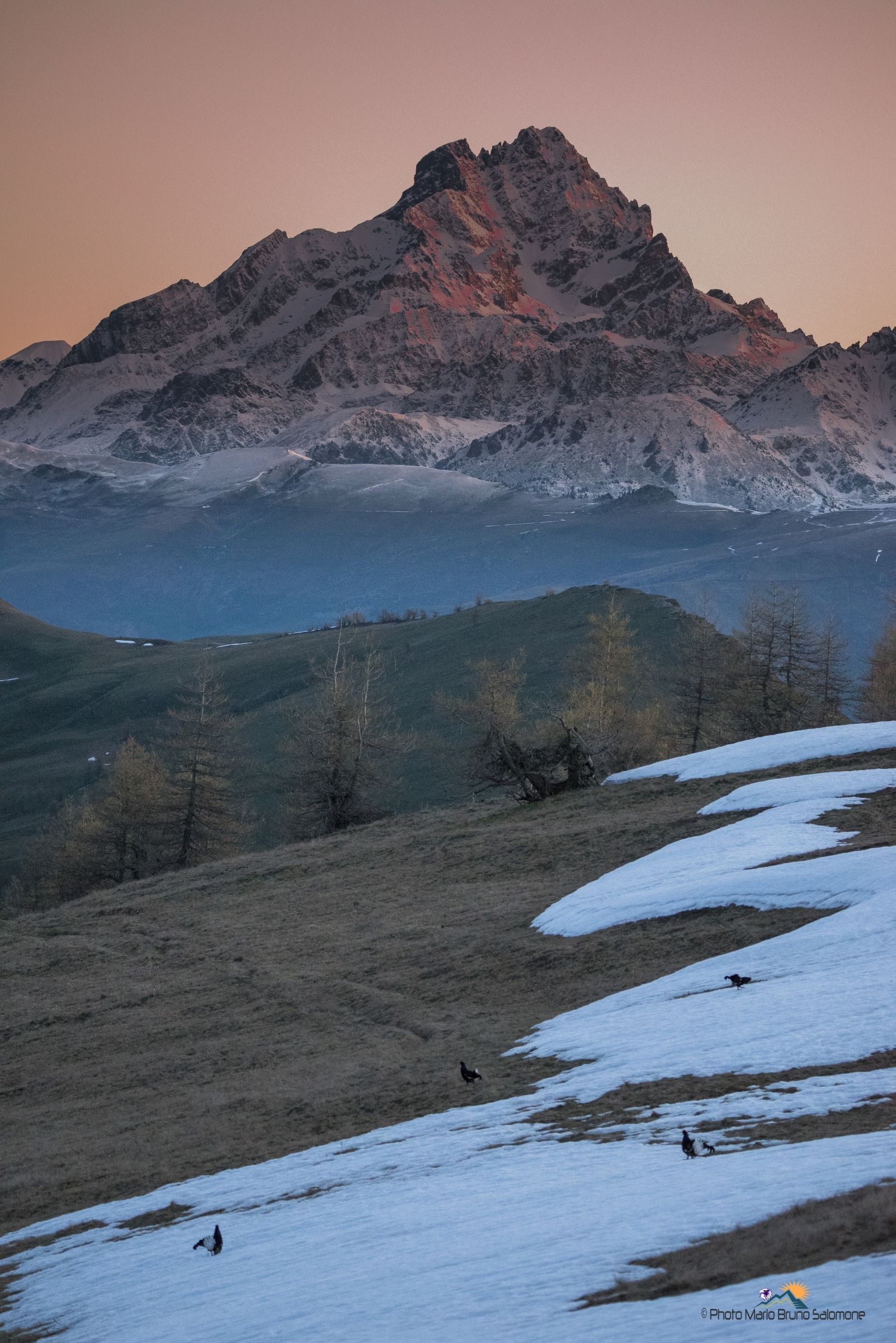 The curtain of nature is raised.