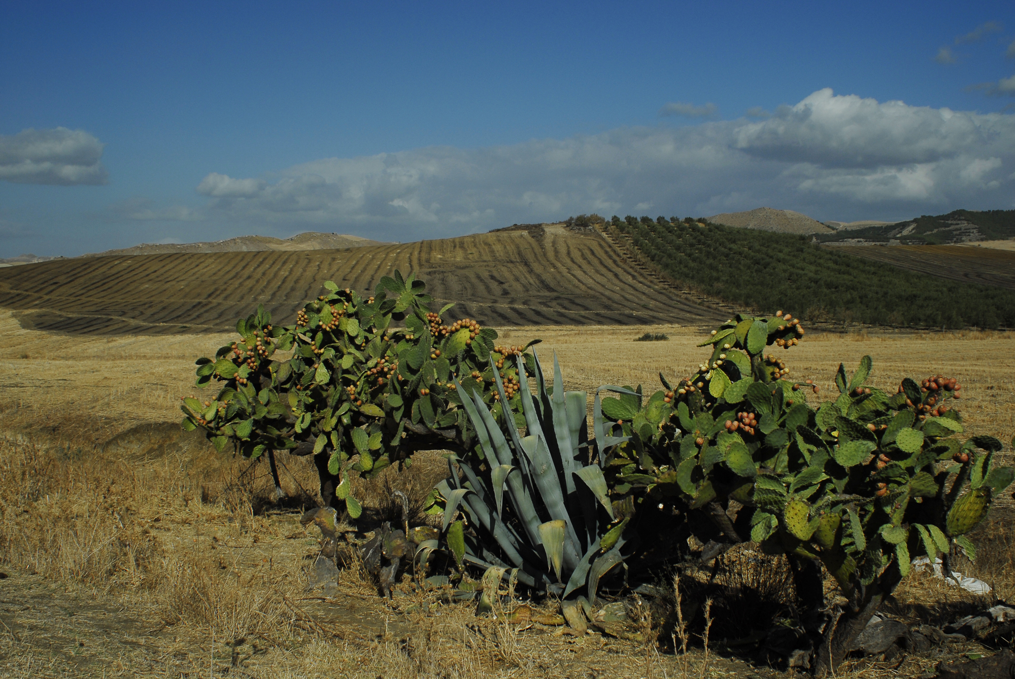 We enter the countryside