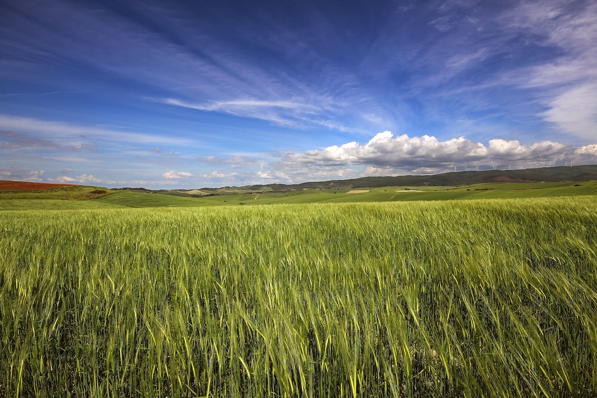 They call you emotions ...