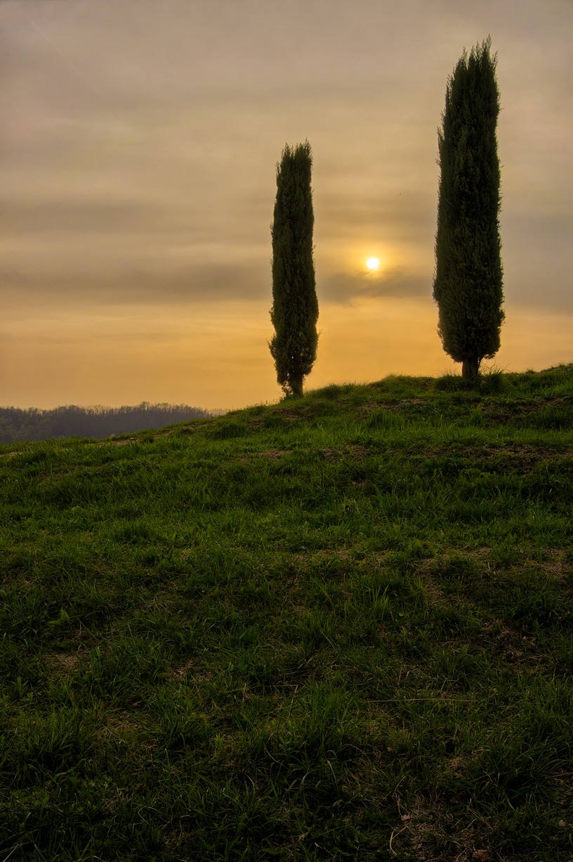 Park of the Curone 02