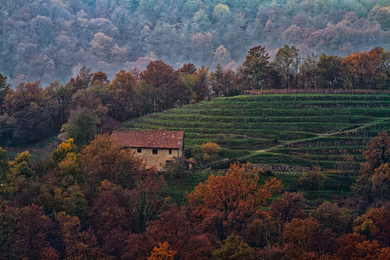 Park of the Curone 03