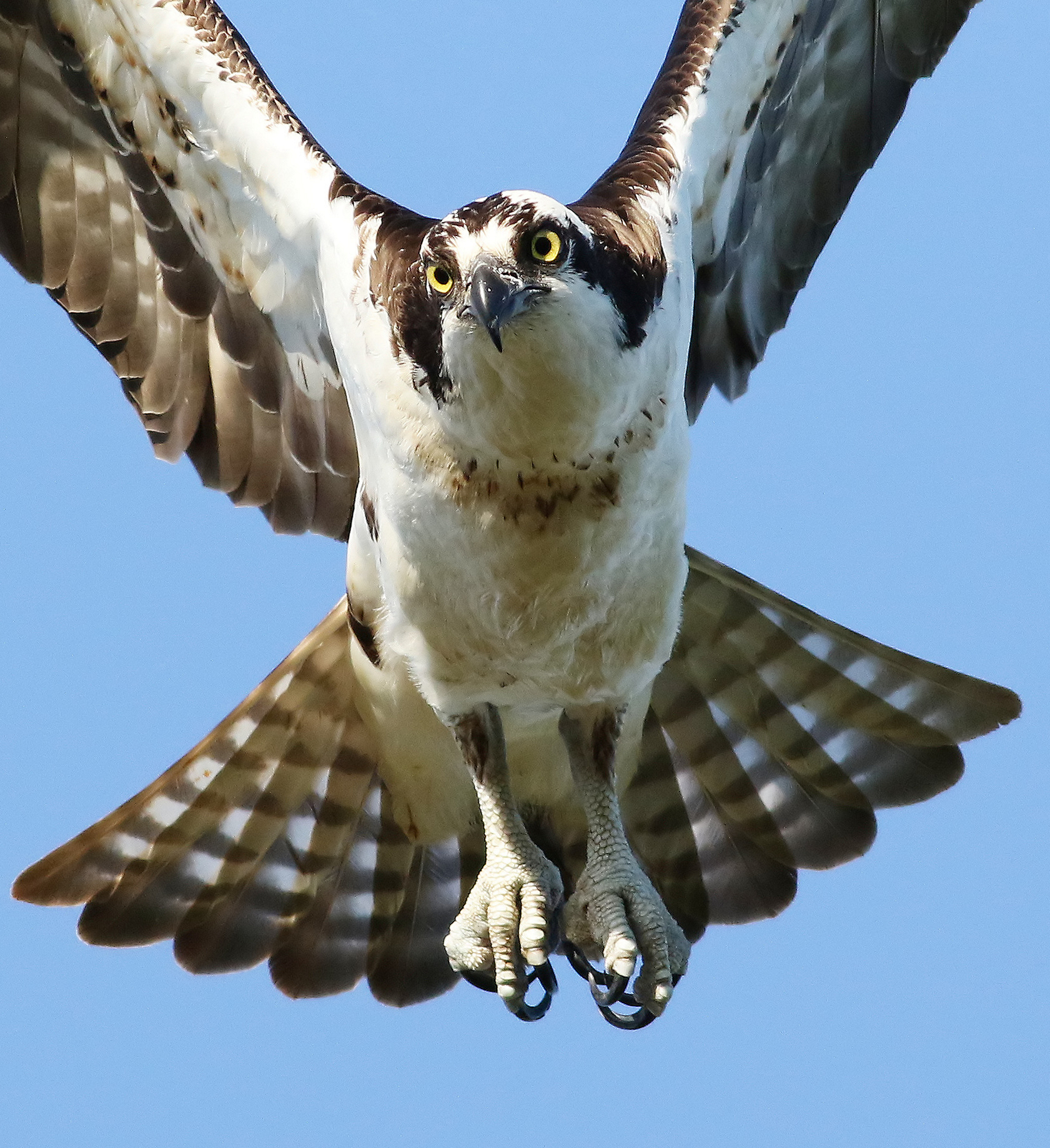Uno sguardo più da vicino