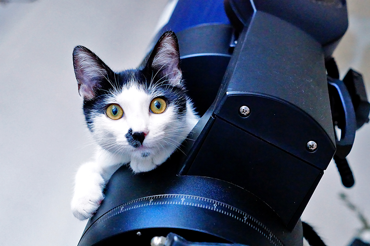 Floyd e il telescopio