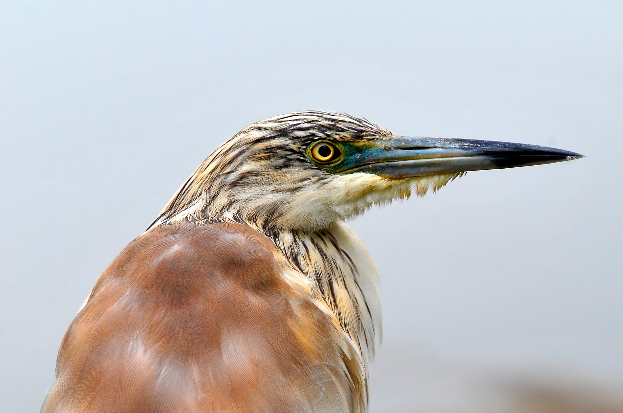 And when too far, and when too close ...