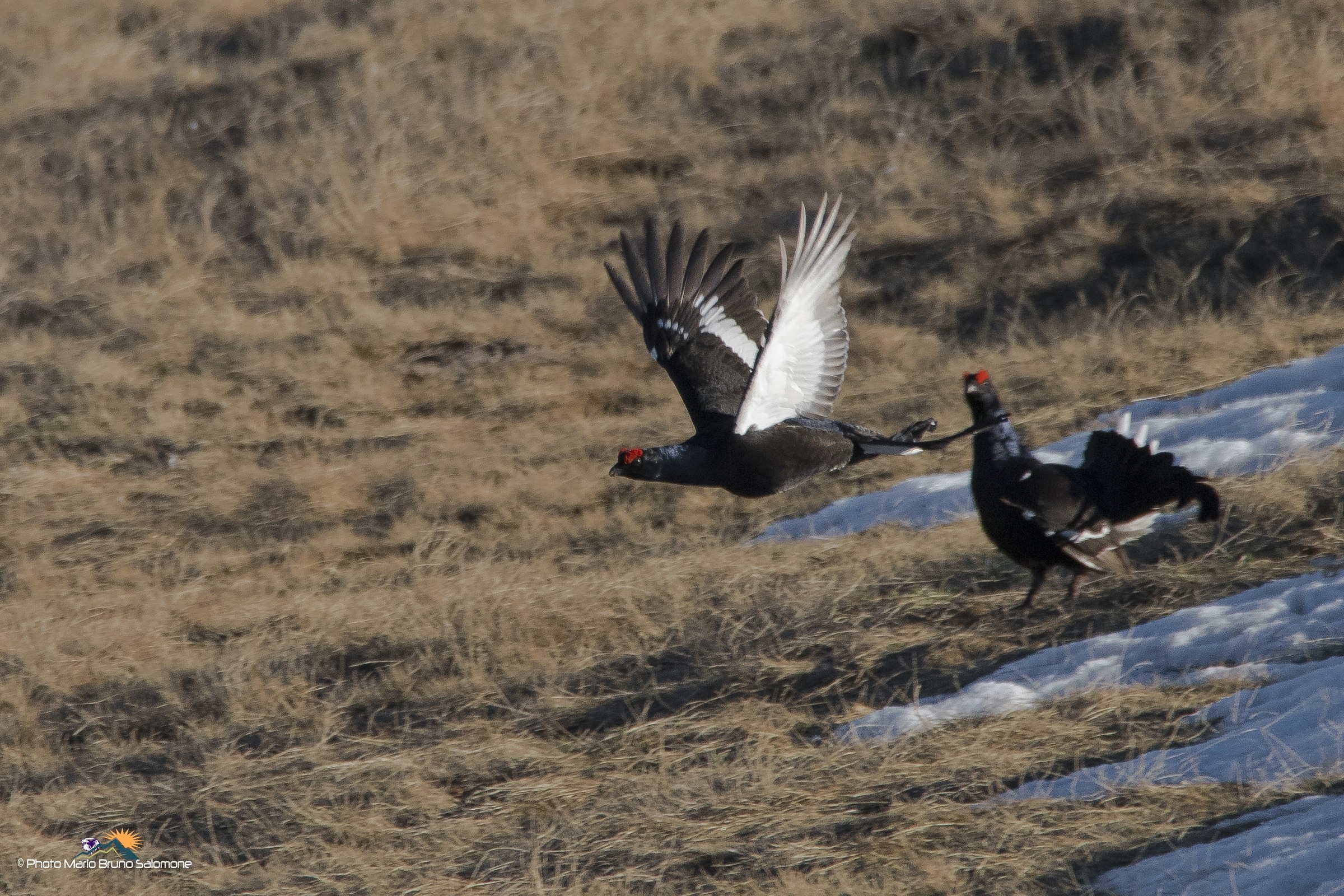 ... I'll be back soon.